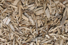 biomass boilers Cartworth